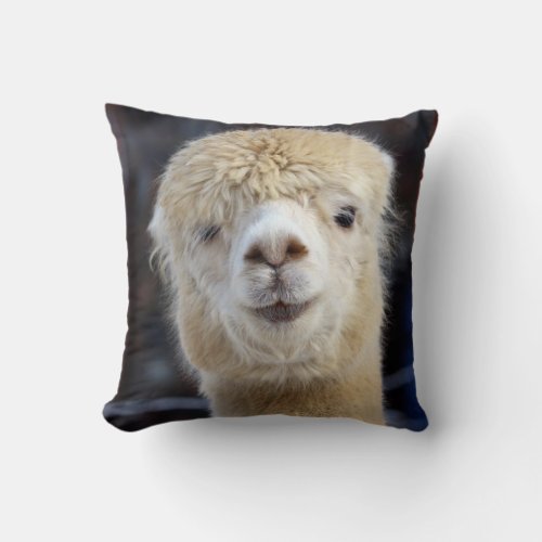 A cute fluffy face of an alpaca throw pillow