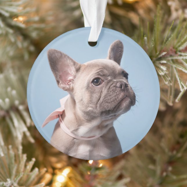 A Cute French Bulldog Ornament (Tree)