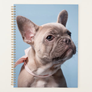 A Cute French Bulldog Planner