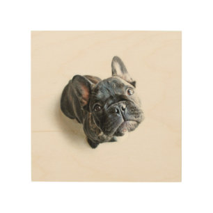 A Cute French Bulldog Puppy Wood Wall Decor