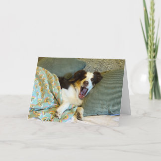 A cute get well card, dog photo thank you card