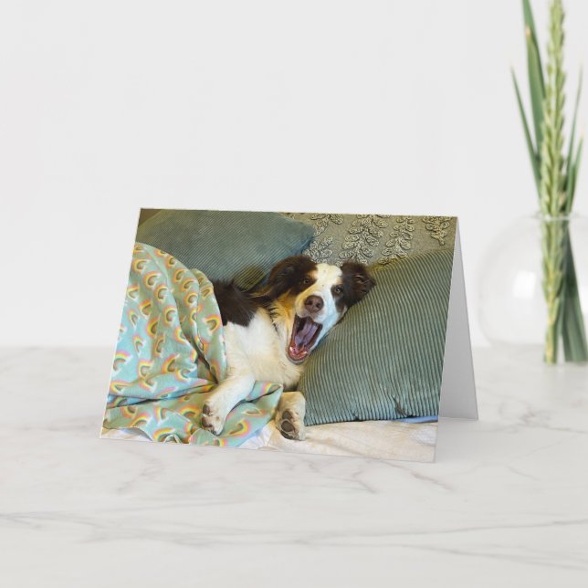 A cute get well card, dog photo thank you card (Front)