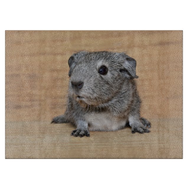 A Cute Gray Guinea Pig on Brown Wood Cutting Board (Front)
