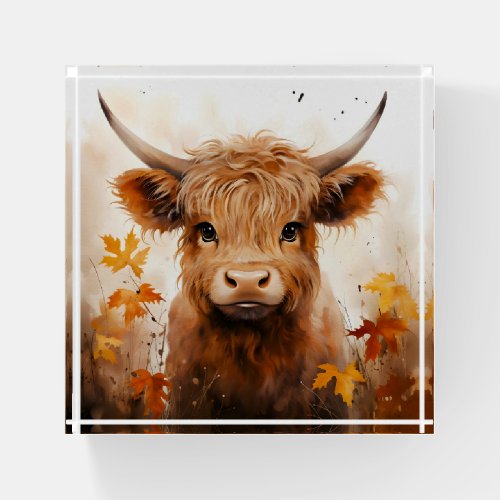 A Cute Highland Cow Series Design 1 Paperweight