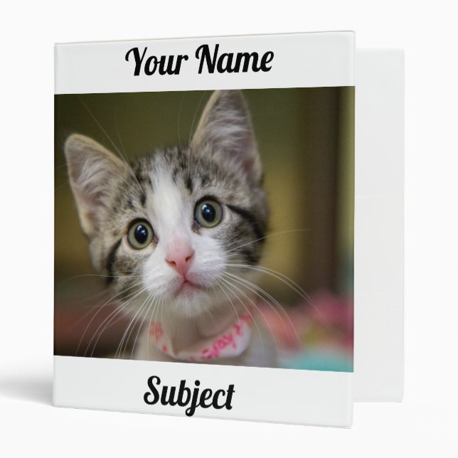 A cute kitten with green eyes 3 ring binder (Front/Inside)