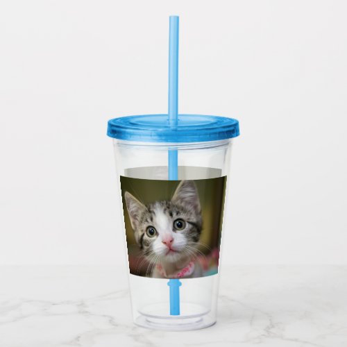 A cute kitten with green eyes acrylic tumbler