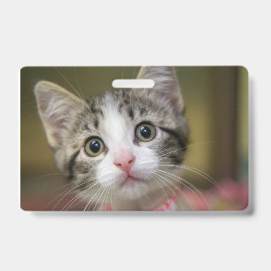 A cute kitten with green eyes badge