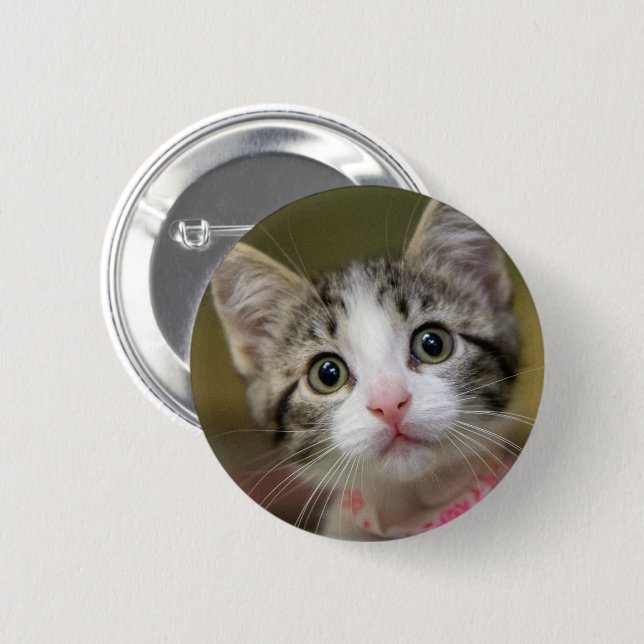A cute kitten with green eyes button (Front & Back)