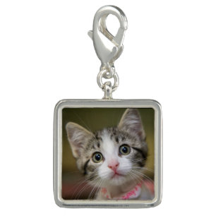 A cute kitten with green eyes charm