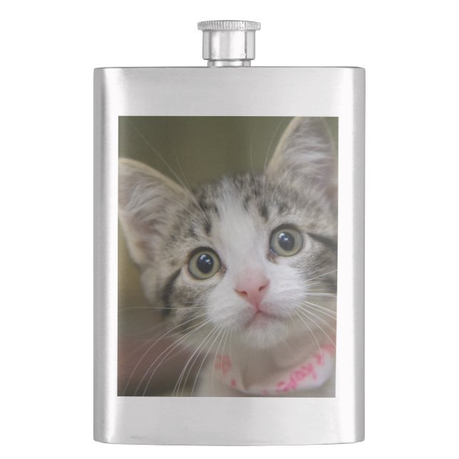A cute kitten with green eyes flask (Front)