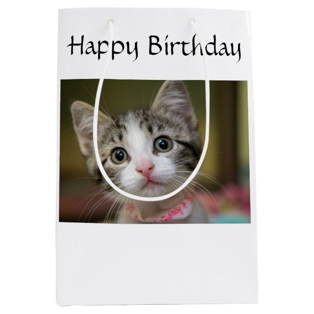 A cute kitten with green eyes medium gift bag (Front)
