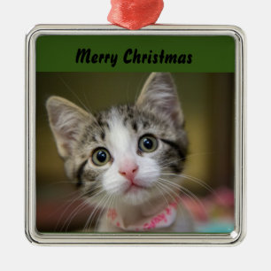 A cute kitten with green eyes metal ornament