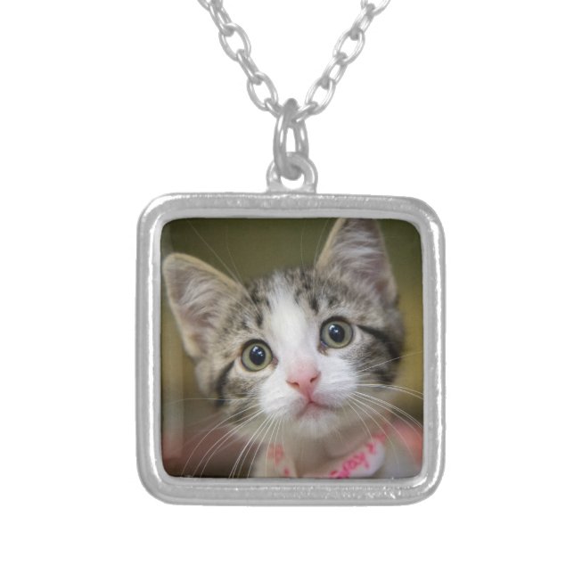 A cute kitten with green eyes silver plated necklace (Front)