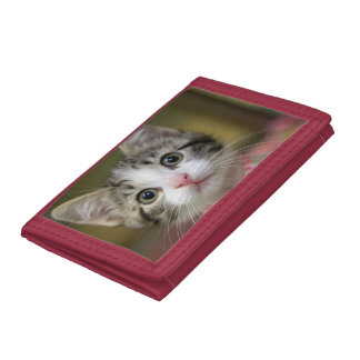 A cute kitten with green eyes tri-fold wallet