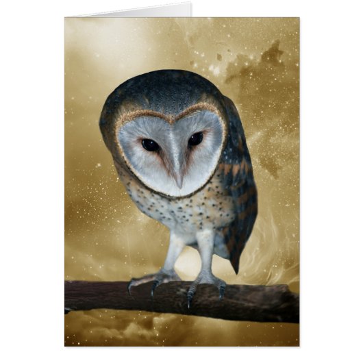 A Cute little Barn Owl Fantasy Cards (Front)