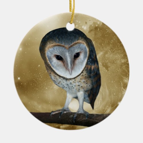 A Cute little Barn Owl Fantasy Ceramic Ornament