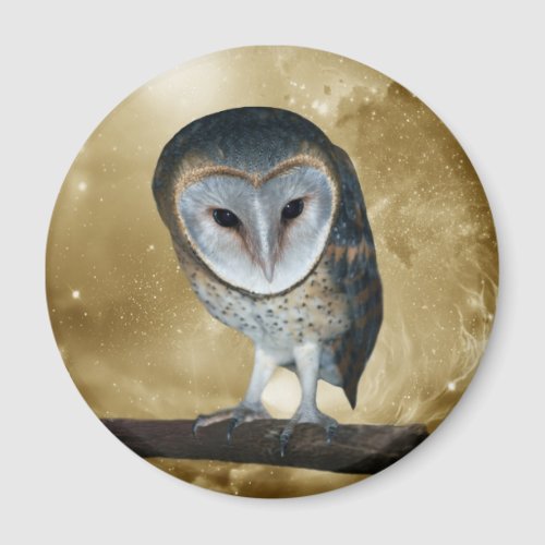 A Cute little Barn Owl Fantasy Magnet