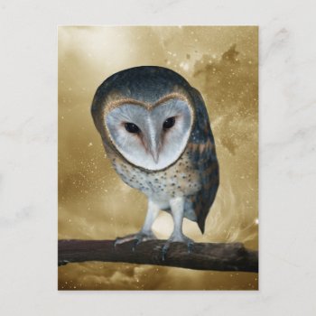 A Cute Little Barn Owl Fantasy Postcard by laureenr at Zazzle