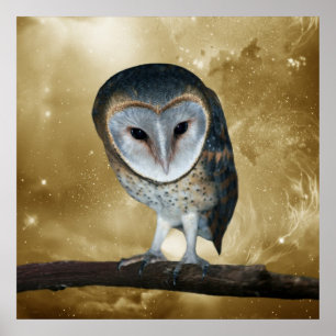 A Cute little Barn Owl Fantasy Poster