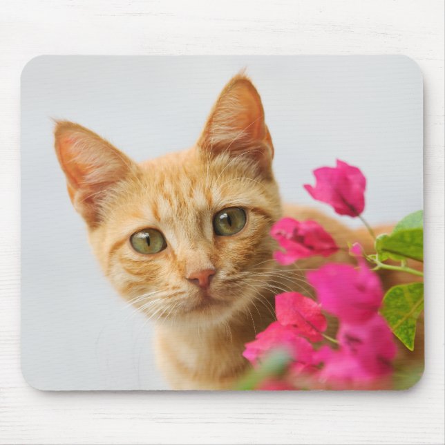 A cute red tabby kitten is watching you. mouse pad (Front)