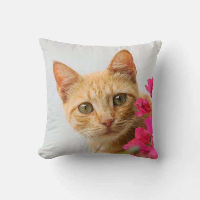 A cute red tabby kitten is watching you. throw pillow (Front)