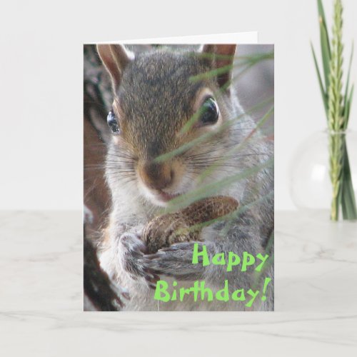 A Cute Squirrel Dug Up A Peanut Happy Birthday
