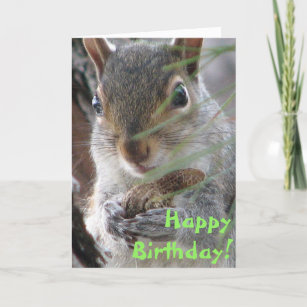 A Cute Squirrel Dug Up A Peanut Happy Birthday Card