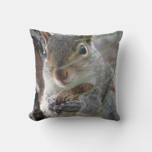 A Cute Squirrel With Peanut Cheeky Decorator Throw Pillow