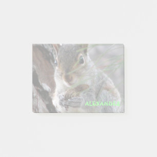 A Cute Squirrel With Peanut Personalized Post-it Notes