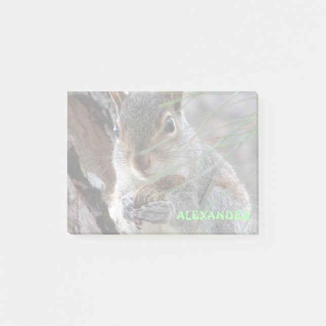 A Cute Squirrel With Peanut Personalized Post-it Notes (Front)