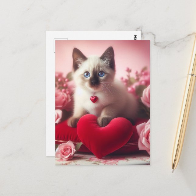 A cute Valentine Siamese Kitten Postcard (Front/Back In Situ)