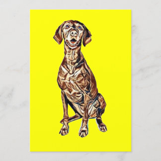 A cute Vizsla dog siting and looking forward with Invitation