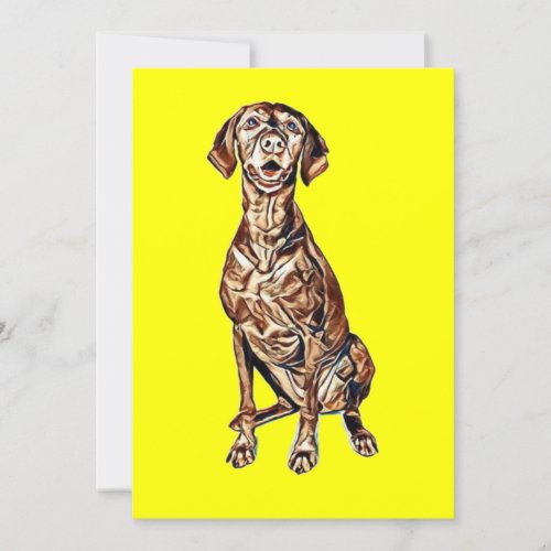 A cute Vizsla dog siting and looking forward with Invitation