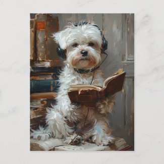A Cute White Dog Reading A Book