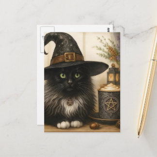 A Cute Witch Cat and a Coffee Postcard