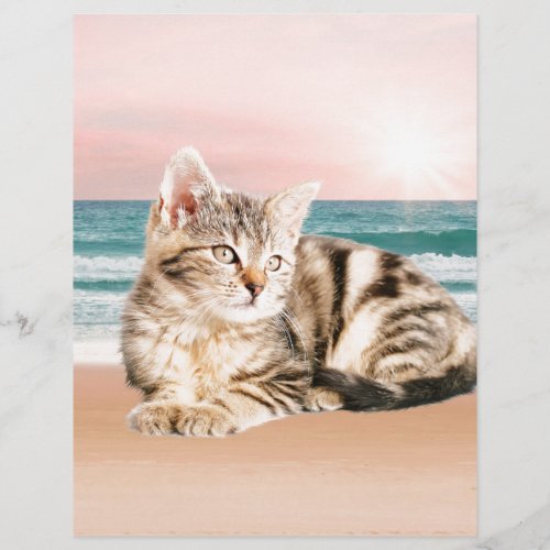 A Cuter Striped Cat Sitting on Beach with sunset