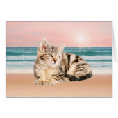 A Cuter Striped Cat Sitting on Beach with sunset (Front Horizontal)