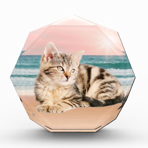 A Cuter Striped Cat Sitting on Beach with sunset Acrylic Award