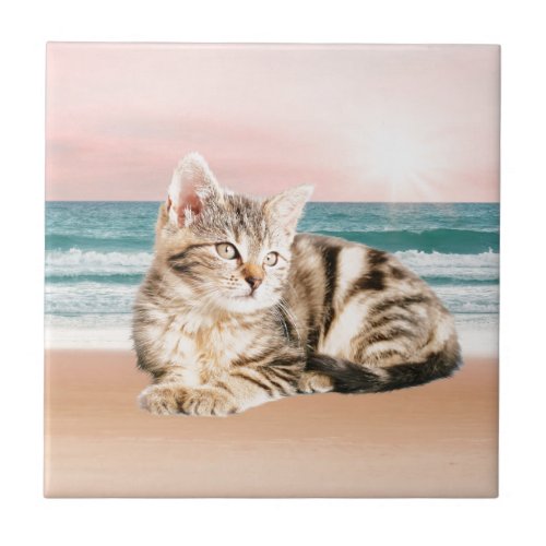 A Cuter Striped Cat Sitting on Beach with sunset Ceramic Tile