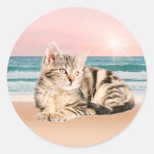 A Cuter Striped Cat Sitting on Beach with sunset Classic Round Sticker