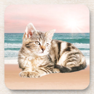 A Cuter Striped Cat Sitting on Beach with sunset Coaster