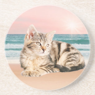 A Cuter Striped Cat Sitting on Beach with sunset Coaster