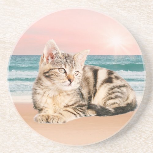 A Cuter Striped Cat Sitting on Beach with sunset Coaster
