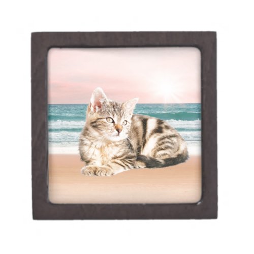 A Cuter Striped Cat Sitting on Beach with sunset Gift Box