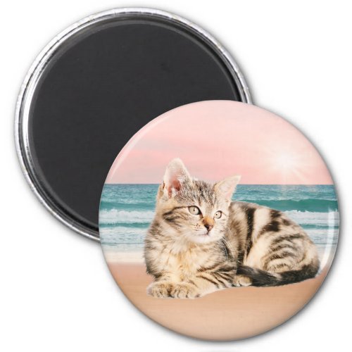A Cuter Striped Cat Sitting on Beach with sunset Magnet