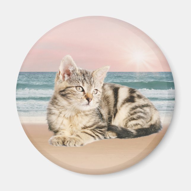 A Cuter Striped Cat Sitting on Beach with sunset Magnet (Front)