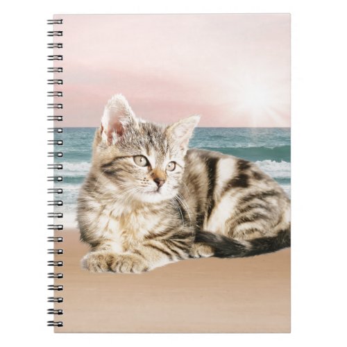 A Cuter Striped Cat Sitting on Beach with sunset Notebook