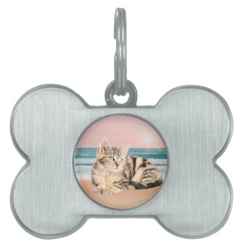 A Cuter Striped Cat Sitting on Beach with sunset Pet Tag