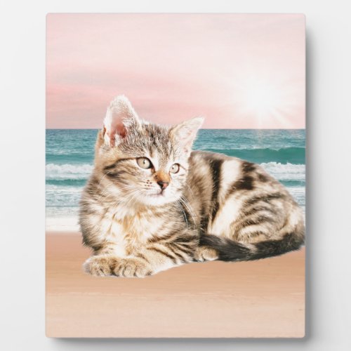 A Cuter Striped Cat Sitting on Beach with sunset Plaque