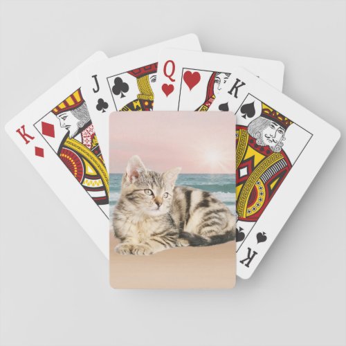 A Cuter Striped Cat Sitting on Beach with sunset Playing Cards